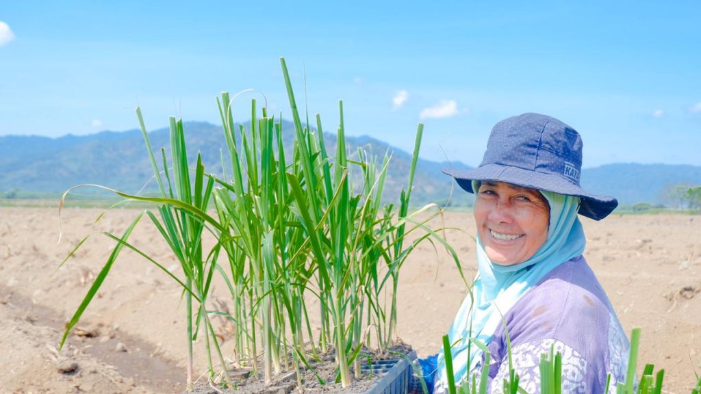 Pandawa Agri Indonesia