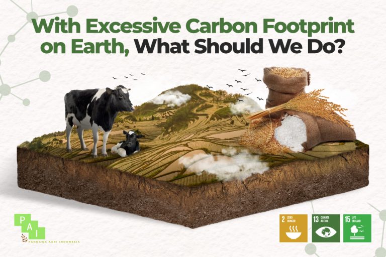 Earth's excess carbon footprint, what should we do