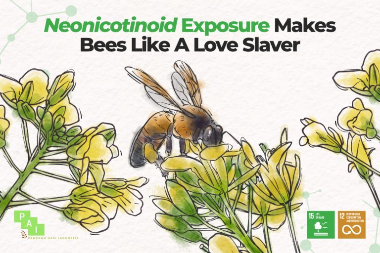 Bee Population Decline Because of Insecticide Addiction