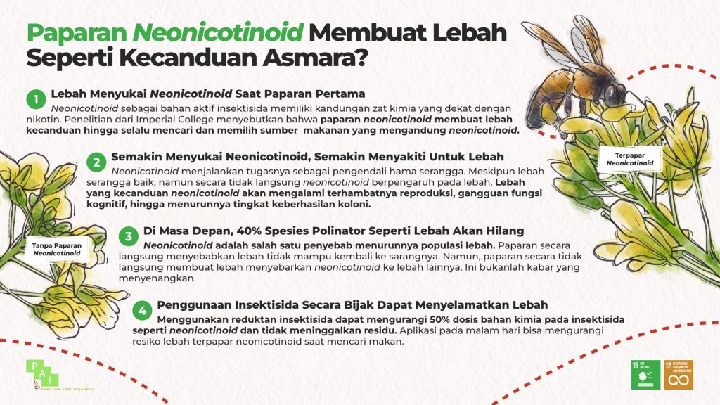 Populasi Lebah Menurun Akibat Kecanduan Insektisida?