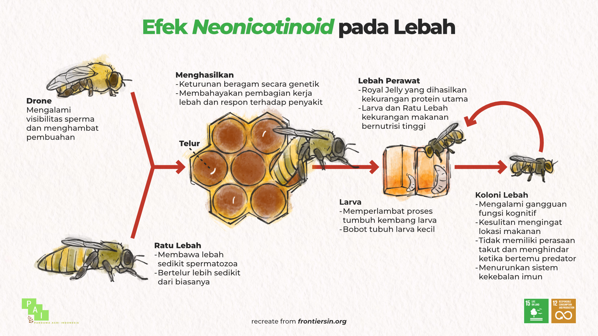 Populasi Lebah Menurun Akibat Kecanduan Insektisida?
