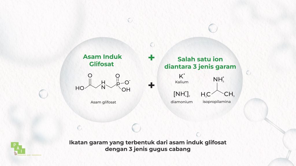 Gambar 3. Ikatan garam yang terbentuk dari asam induk glifosat dengan 3 jenis gugus cabang