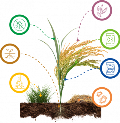 About PPAI Technology_02